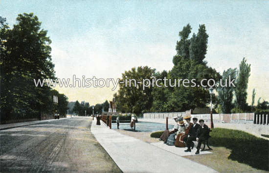 The Pond and High Street, Watford, Hertfordshire. c.1906